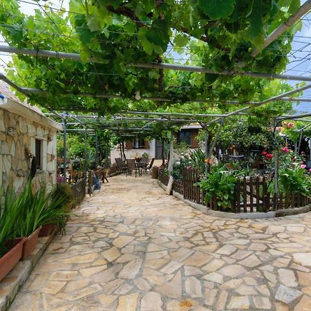 Dimitris'S Country House Agia  Exterior foto
