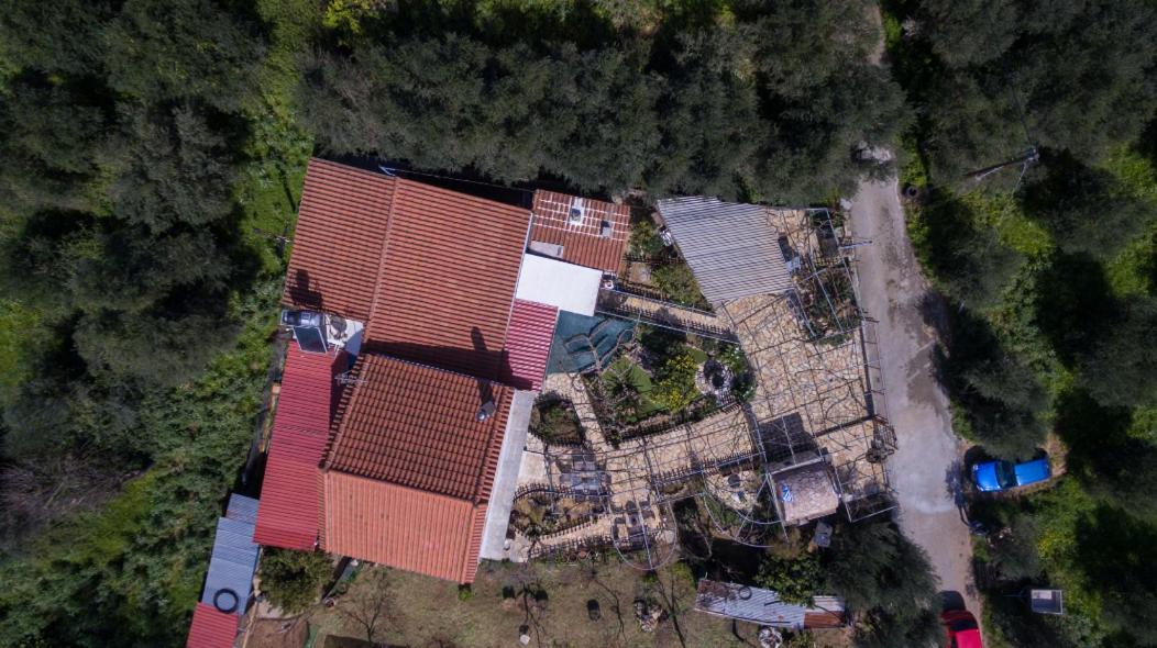 Dimitris'S Country House Agia  Exterior foto