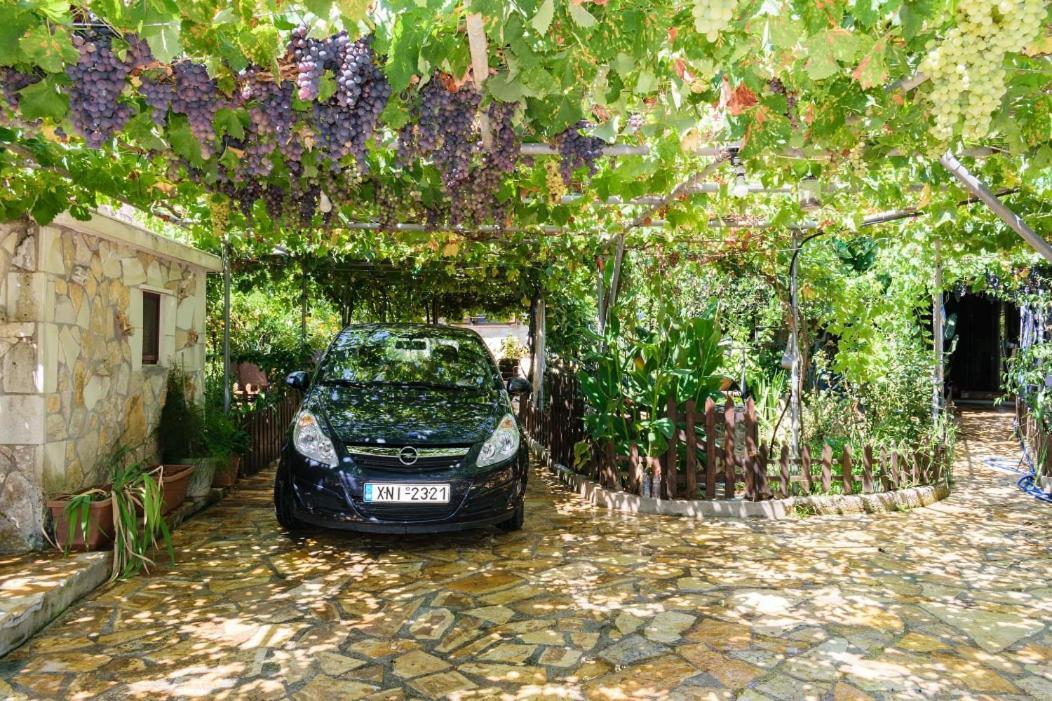 Dimitris'S Country House Agia  Exterior foto
